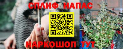 индика Кинель