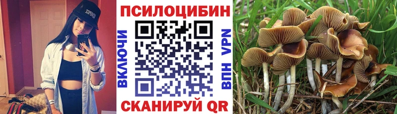 Псилоцибиновые грибы мицелий  что такое   Новоуральск 