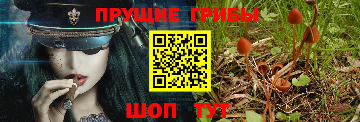 Псилоцибиновые грибы GOLDEN TEACHER Новоуральск